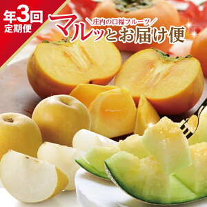 yӂ邳Ɣ[Łz3ց  gt[ch }bƂ͂2026 6{`8{:AfX 8{`10{: 10{`11{:` v3 R`cY 