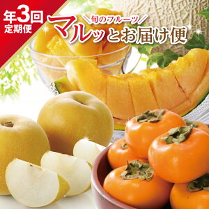 yӂ邳Ɣ[Łz3ց {̃t[c }bƂ͂2026 6{`8{:gԃ 8{`10{: 10{`11{:` v3 R`cY ws 