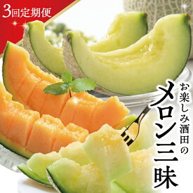 【ふるさと納税】≪3回定期便≫ お楽しみ！酒田のメロン三昧2026 6月中旬〜7月下旬：アンデスメロン 7月上旬〜8月上旬：赤肉メロン 8月中旬〜9月下旬：アールスメロン 計3回 ※着日指定不可 頒布会 夏 秋 メロン 山形 酒田 庄内