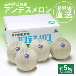 選果場からの直送メロン アンデスメロン 約5kg 4〜5玉...