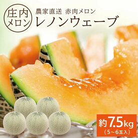【ふるさと納税】庄内特産 赤肉メロン レノンウェーブ 約7.5kg 5〜6玉入り 6月下旬〜7月中旬頃お届け ※着日指定不可 赤肉メロン 果物 フルーツ 東北 山形県 酒田市 庄内 農家直送 産地直送 旬 夏