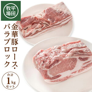 yӂ邳Ɣ[Łzcq {̕Ĉ炿 ؓ [XEoubN e500g v1kg ① s q Ђڂ ؓ ܂ Y k R` cs 