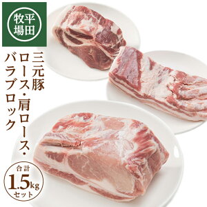 yӂ邳Ɣ[Łzcq {̕Ĉ炿 O [XE[XEoubN e500g v1.5kg ① s q Ђڂ ؓ ܂ Y k R` cs 