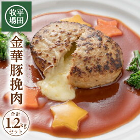 【ふるさと納税】平田牧場 日本の米育ち 金華豚 挽肉 240g×5p 計1.2kg 冷凍便 ※離島発送不可 平牧 ひらぼく 豚肉 ひき肉 挽き肉 ミンチ 国産 東北 山形県 酒田市 庄内