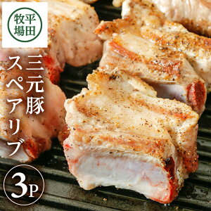 yӂ邳Ɣ[Łzcq {̕Ĉ炿 O XyAu 485g×3p v1,455g Ⓚ s q Ђڂ ؓ ubN t Jbgς  Y k R` cs 