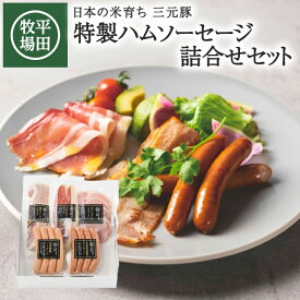 【ふるさと納税】平田牧場 特製ハムソーセージ 詰合せセット CHK23-1 冷蔵便 ※離島発送不可 ひらぼく お取り寄せグルメ 三元豚 荒挽き ソーセージ プロシュート生ハム ボンレスハム ベーコン 国産豚肉 詰め合わせ BBQ おつまみ 酒田市