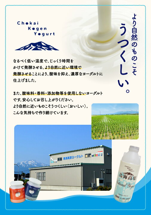 楽天市場】【ふるさと納税】鳥海高原ヨーグルトFセット のむ 
