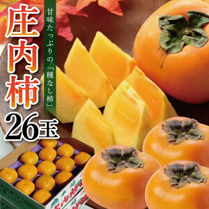 yӂ邳Ɣ[Łz` 5kg 26ʓ 햳` 10{`11{͂ ws H JL  j` ʕ t[c k R` cs 