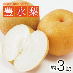 yӂ邳Ɣ[ŁzL 3kg 7`9ʓ R`csY 9{`10{͂ ws Ȃ iV a  H ʕ t[c k R` cs 