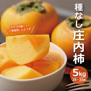 yӂ邳Ɣ[Łz` 5kg 25`31ʓ 햳` 10{`11{͂ ws H JL  j` ʕ t[c k R` cs 