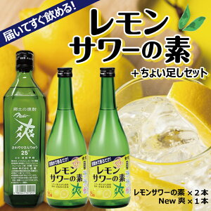 yӂ邳Ɣ[Łzy̏Ē ₩T[̑f 720ml×2{ New u 720ml×1{ v3{Zbg  R` cs n L[ T[  EG ʏ`  Ē AR[ 