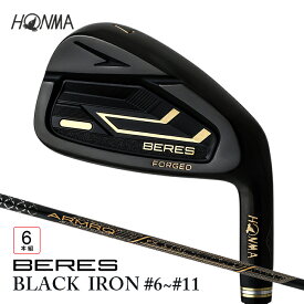 【ふるさと納税】本間ゴルフ BERES 09 BLACK IRON #6~#11 6本組 ゴルフクラブ アイアン セット