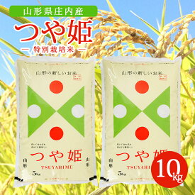 【ふるさと納税】特別栽培米つや姫 5kg×2袋 計10kg 令和5年産米 山形県庄内産 ご希望の時期頃にお届け 東北 山形県 酒田市 庄内地方 特別栽培米 米 精米 白米 お米 ごはん ご飯 庄内米 発送時期が選べる