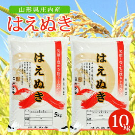 【ふるさと納税】はえぬき 5kg×2袋 計10kg 令和7年産米 山形県庄内産 ご希望の時期頃お届け 東北 山形県 酒田市 庄内地方 米 精米 白米 お米 ごはん ご飯 庄内米