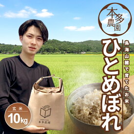 【ふるさと納税】ひとめぼれ 玄米 計10kg 5kg×2袋 令和7年産米 山形県酒田産 ご希望の時期頃お届け 東北 山形県 酒田市 庄内地方 庄内平野 米 お米 ご飯 ごはん 農家直送 産地直送 本多農園