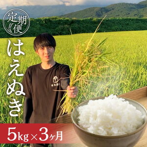 yӂ邳Ɣ[Łz3ց ͂ʂ 5kg×3A v15kg  ߘa7NY R`cY ]Ԃ̖{ɂ͂ k R` cs n     uh