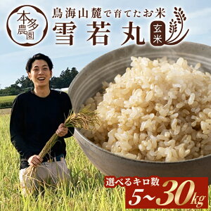 yӂ邳Ɣ[Łz  ߘa7NY IׂL 5kg`30kg R`cY ws k R` cs n   uh  ͂ 5kg 10kg 20kg 30kg _ƒ 