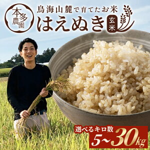 yӂ邳Ɣ[Łz͂ʂ  ߘa7NY IׂL 5kg`30kg R`cY ws k R` cs n   uh  ͂ 5kg 10kg 20kg 30kg _ƒ