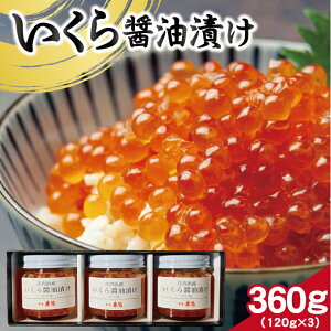 yӂ邳Ɣ[ŁzݖЂ v360g 120g×3r Ⓚ wEs  CN ͂炲 ݖ