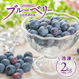 【ふるさと納税】訳あり 冷凍ブルーベリー 500g×4パック 計2kg 山形県酒田産 冷凍便 ※離島発送・着日指定不可 冷凍 ブルーベリー ハイブッシュ系 訳アリ ジャム ジュース スムージー 小分け ご家庭用
