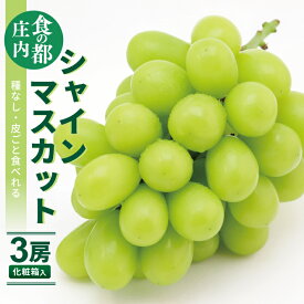 【ふるさと納税】シャインマスカット 計1.5kg以上 3房 10月上旬～11月上旬頃お届け 化粧箱入れ 冷蔵便 ※着日指定・離島発送不可 マスカット ぶどう ブドウ 葡萄 果物 フルーツ 東北 山形県 酒田市 庄内