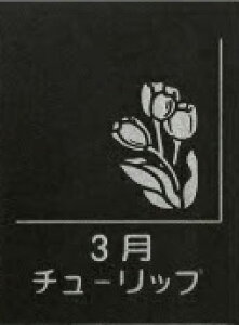 yӂ邳Ɣ[ŁzVRe tbgv[g 1 aԒ IׂfUC XCZ t[WA `[bv TN XY AWTC  LLE _A RXX VN 