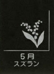 yӂ邳Ɣ[ŁzVRe XNGAv[g 1 aԒ IׂfUC XCZ t[WA `[bv TN XY AWTC  LLE _A RXX VN 