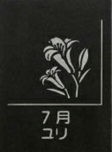 yӂ邳Ɣ[ŁzVRe tbgv[g 1 aԒ IׂfUC XCZ t[WA `[bv TN XY AWTC  LLE _A RXX VN 
