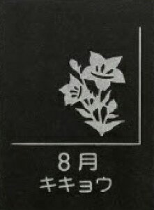 yӂ邳Ɣ[ŁzVRe tbgv[g 1 aԒ IׂfUC XCZ t[WA `[bv TN XY AWTC  LLE _A RXX VN 