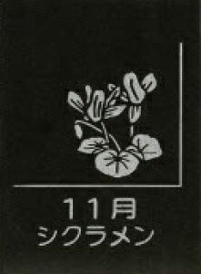 yӂ邳Ɣ[ŁzVRe tbgv[g 1 aԒ IׂfUC XCZ t[WA `[bv TN XY AWTC  LLE _A RXX VN 