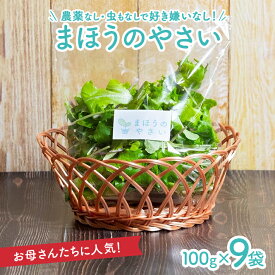 【ふるさと納税】まほうのやさい すこやかセット ベビーリーフ 100g×9袋 計900g 山形県酒田産 冷蔵便 ※離島発送・着日指定不可 完全室内型水耕栽培 農薬不使用 新鮮 長持ち 安心 安全 すこやかファーム 東北 酒田市 庄内 葉物野菜 春 夏 秋 冬