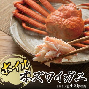 �y�ӂ邳�Ɣ[�Łz�t�̃{�C�� �{�Y���C�K�j 1�C 400g���x ��c�� 2026�N1�����{�`3�����{�����͂� �①�� �������w��E���������s�i���ꌧ���܂ށj �R�`�� �� ���{�C �J�j �I ���� �C�Y�� 