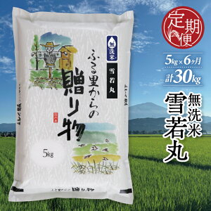 yӂ邳Ɣ[Łz6ց   5kg×6A v30kg R`Y ]Ԃ̖{͂ Yn      uh k cs