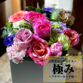 楽天市場 コロナ 支援 花 種類 植物 カーネーション の通販