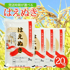 楽天市場 ふるさと納税 米 kgの通販