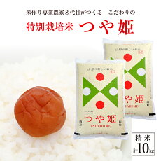 楽天市場 ふるさと納税 ジャンル別お礼の品ランキング 米 雑穀