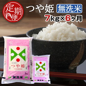 楽天市場 ふるさと納税 無洗米 定期便の通販