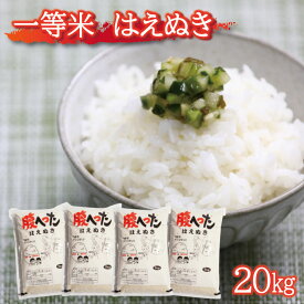 楽天市場 ふるさと納税 米 kg はえぬきの通販