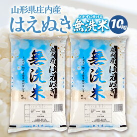 【ふるさと納税】 無洗米 はえぬき 5kg×2袋 計10kg 令和5年産 山形県庄内産 ご希望の時期頃にお届け 米 お米 精米 白米 発送時期が選べる