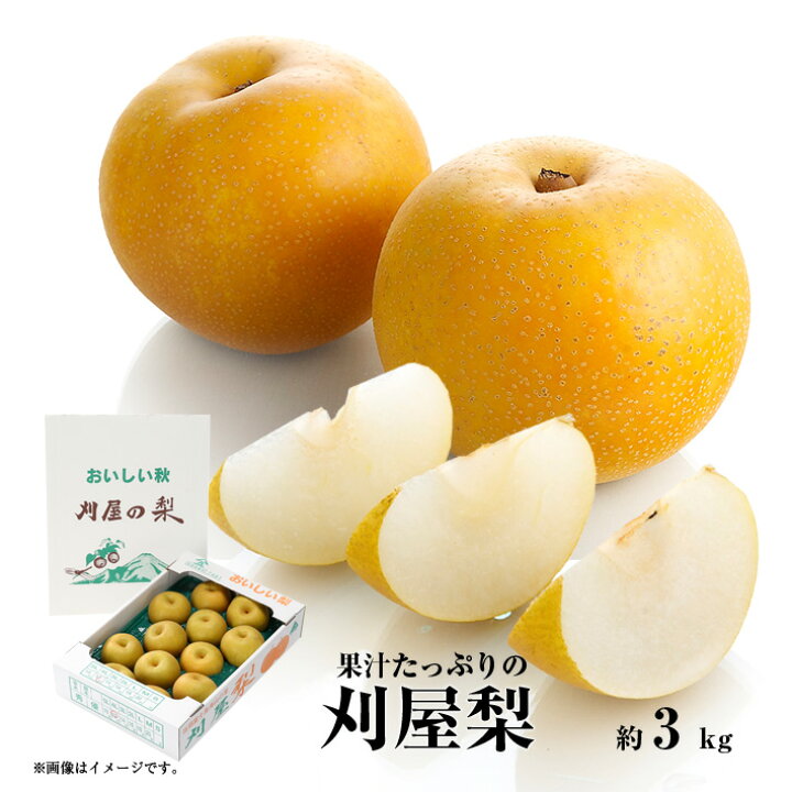 楽天市場 ふるさと納税 酒田の美味しい刈屋梨 秀品 約3kg 8玉前後 8月下旬 9月下旬頃お届け 着日指定不可 刈屋梨 和梨 梨 なし 果物 くだもの フルーツ 山形県酒田市