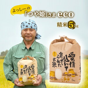 yӂ邳Ɣ[Łz ys\zߘa7NY [́uPveco (āj5kg    R` Vs F3S-2494
