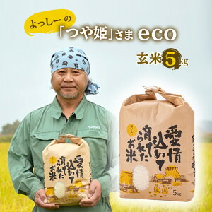 yӂ邳Ɣ[Łz ys\zߘa7NY [́uPveco (āj5kg    R` Vs F3S-2495