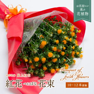 �y�ӂ邳�Ɣ[�Łz �g�ԁi�ԑ��j 10�`12�{ �ׂɂ΂� �� �t�����[ �M�t�g ���蕨 ���� �v���[���g �R�`�� �V���s F3S-0256