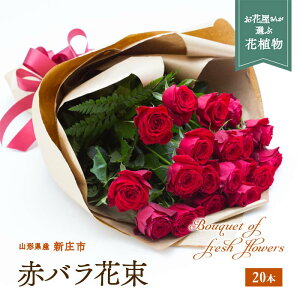 yӂ邳Ɣ[Łz ԃo ԑ 20{ F3S-0746