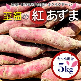 【ふるさと納税】 栽培期間中、農薬・化学肥料不使用 ホクホク甘～い『至福の紅あずま』サイズ大～小混合5kg さつまいも サツマイモ 山形県 新庄市 F3S-1930