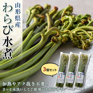 yӂ邳Ɣ[ŁzR`Yѐ 3Zbg R Y F   ݂` ϕ Ђ ݂ k F3S-1325