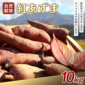 【ふるさと納税】 自然栽培 紅あずま 10kg さつまいも サツマイモ 山形県 新庄市 F3S-1943