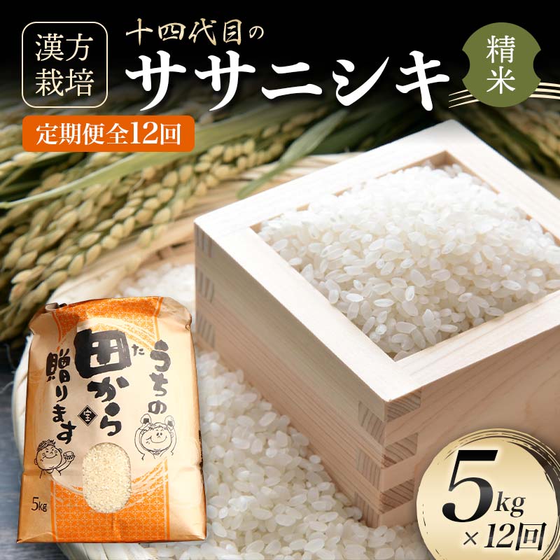お米 無洗米 宮城県産 ササニシキ 米 20kg 送料無料 お米 令和4年産 20kg(5kg×4) 白米 アイリスオーヤマ
