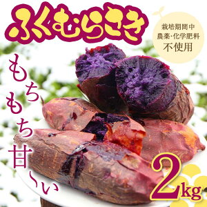 yӂ邳Ɣ[Łz ͔|ԒA_Ew엿sgp Á`wӂނ炳x `卬 2kg ܂ Tc}C F3S-1942