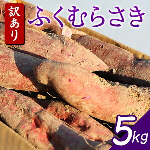 yӂ邳Ɣ[Łz ͔|ԒA_Ew엿sgp w󂠂 ӂނ炳x5kg ܂ Tc}C  F3S-1992